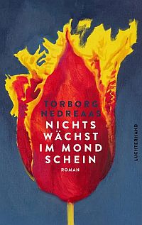 nedreaas - nichts waechst im mondschein